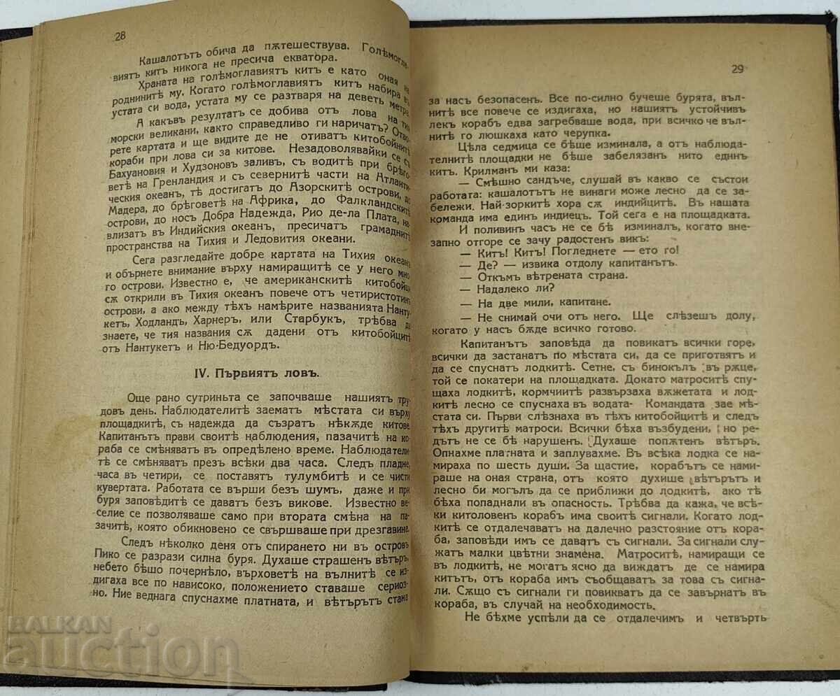 Livrarea TÂNĂRUL VÂNĂTOR DE BALENE