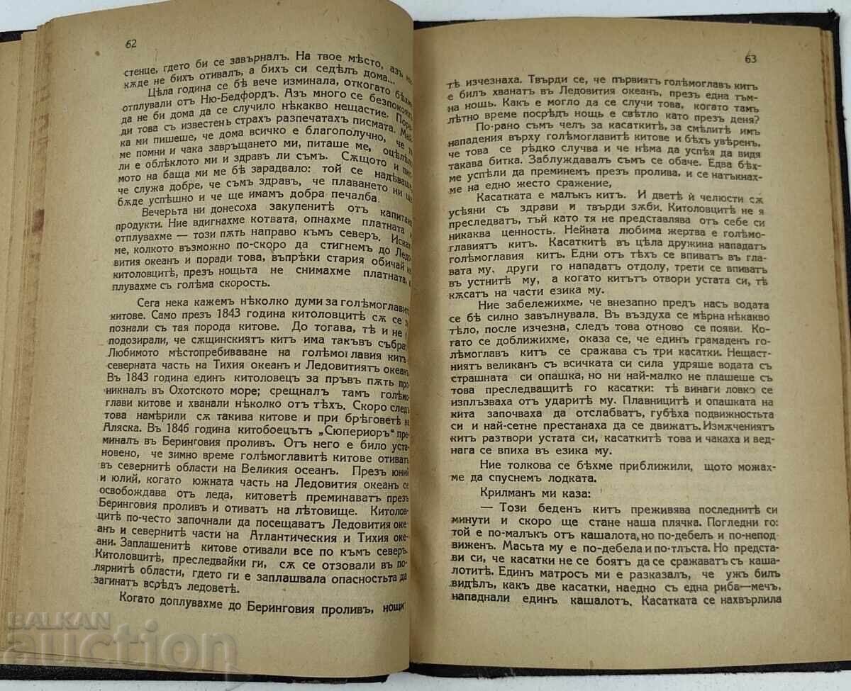 TÂNĂRUL VÂNĂTOR DE BALENE - 5