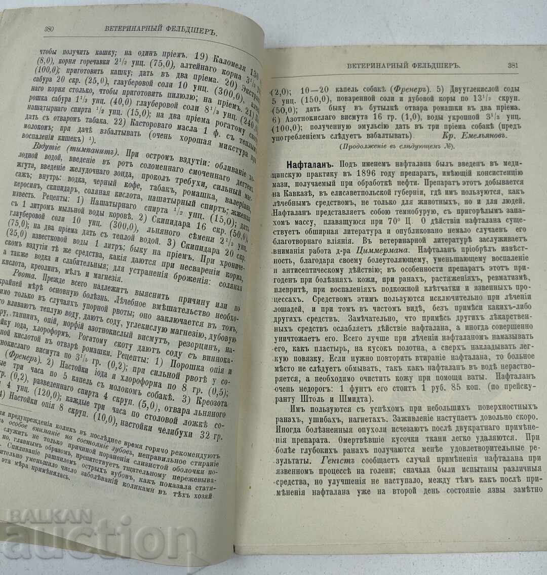 1904 VETERINARY FELDSHER MAGAZINE RUSSIAN LANGUAGE ISSUE 10 - 5