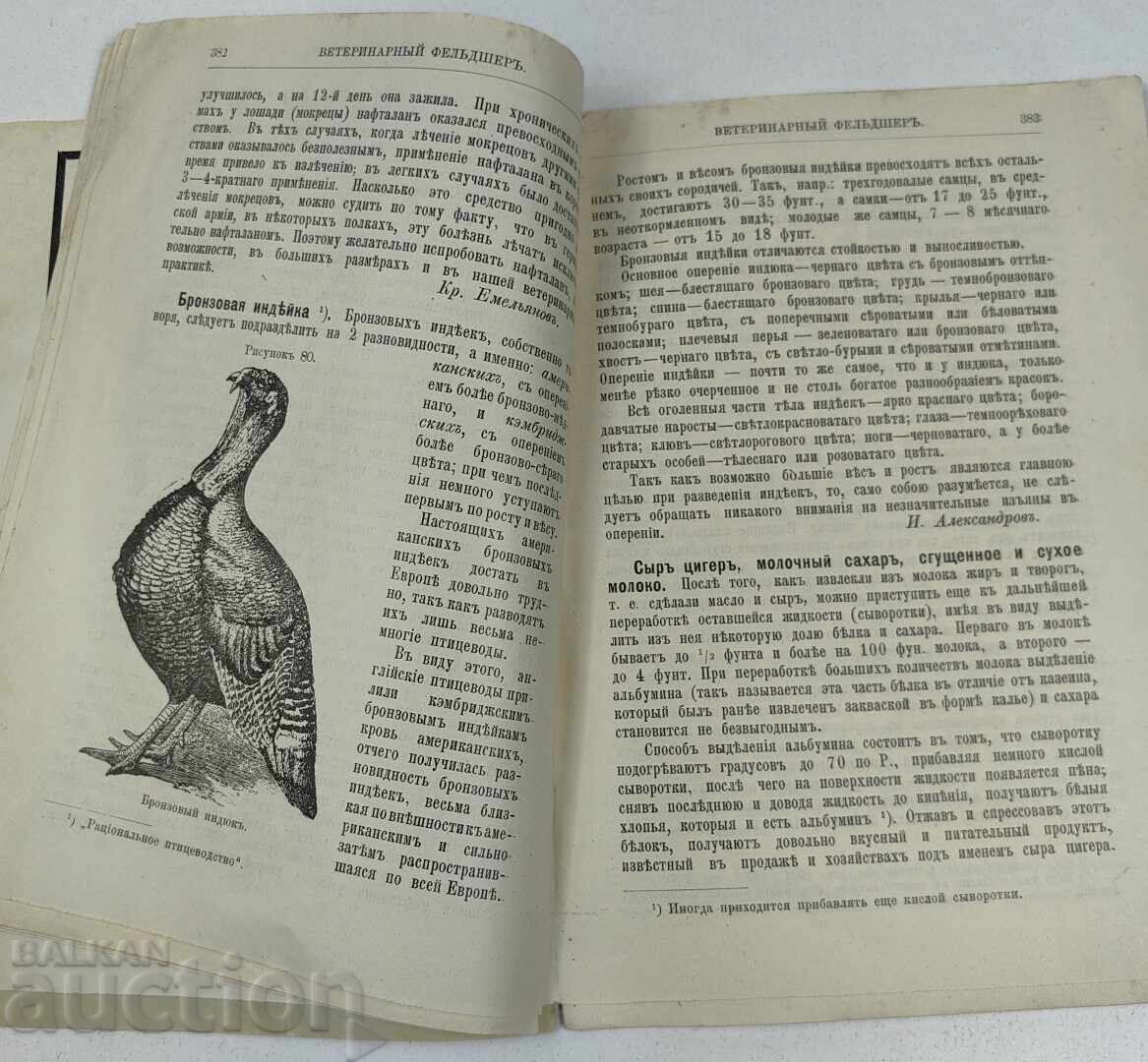 1904 VETERINARY FELDSHER MAGAZINE RUSSIAN LANGUAGE ISSUE 10 - 6