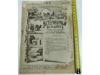 1904 SPISANIE VETERINAREN FELDSHER NA RUSKI EZIK BROĬ 10