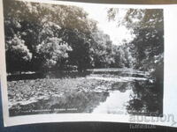 1, Râul Ropotamo - Nuferi, Carte poștală veche