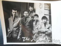 Old photo, ANIMALS