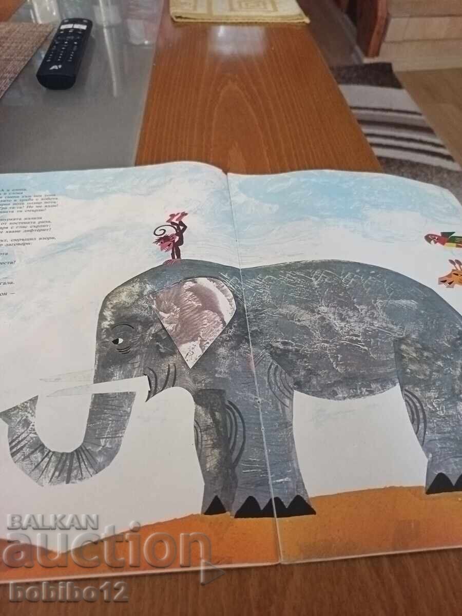 Licitație Munka, micuța maimuță