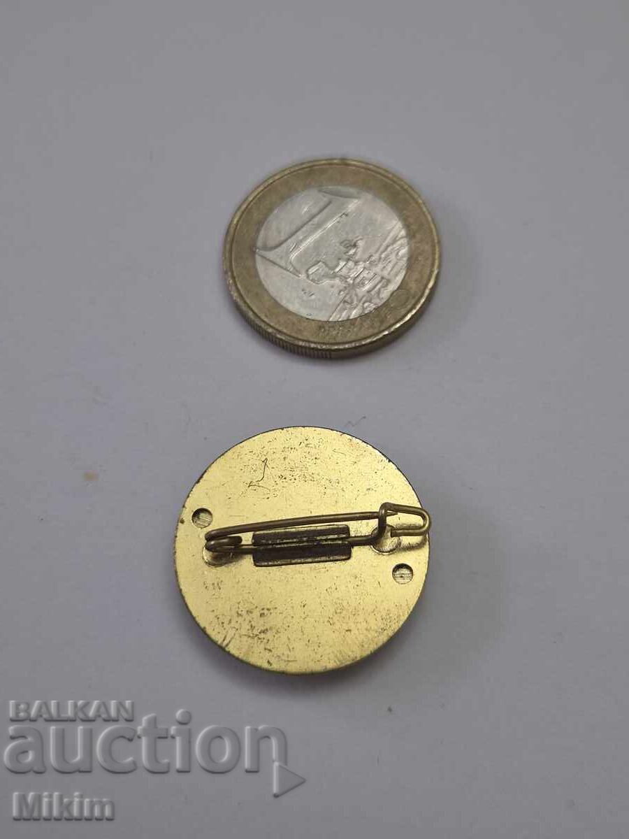 Broscă vintage 2 cu preț € 0.01 | 0.02 BGN Broscă vintage 2 cu preț € 0.01 | 0.02 BGN