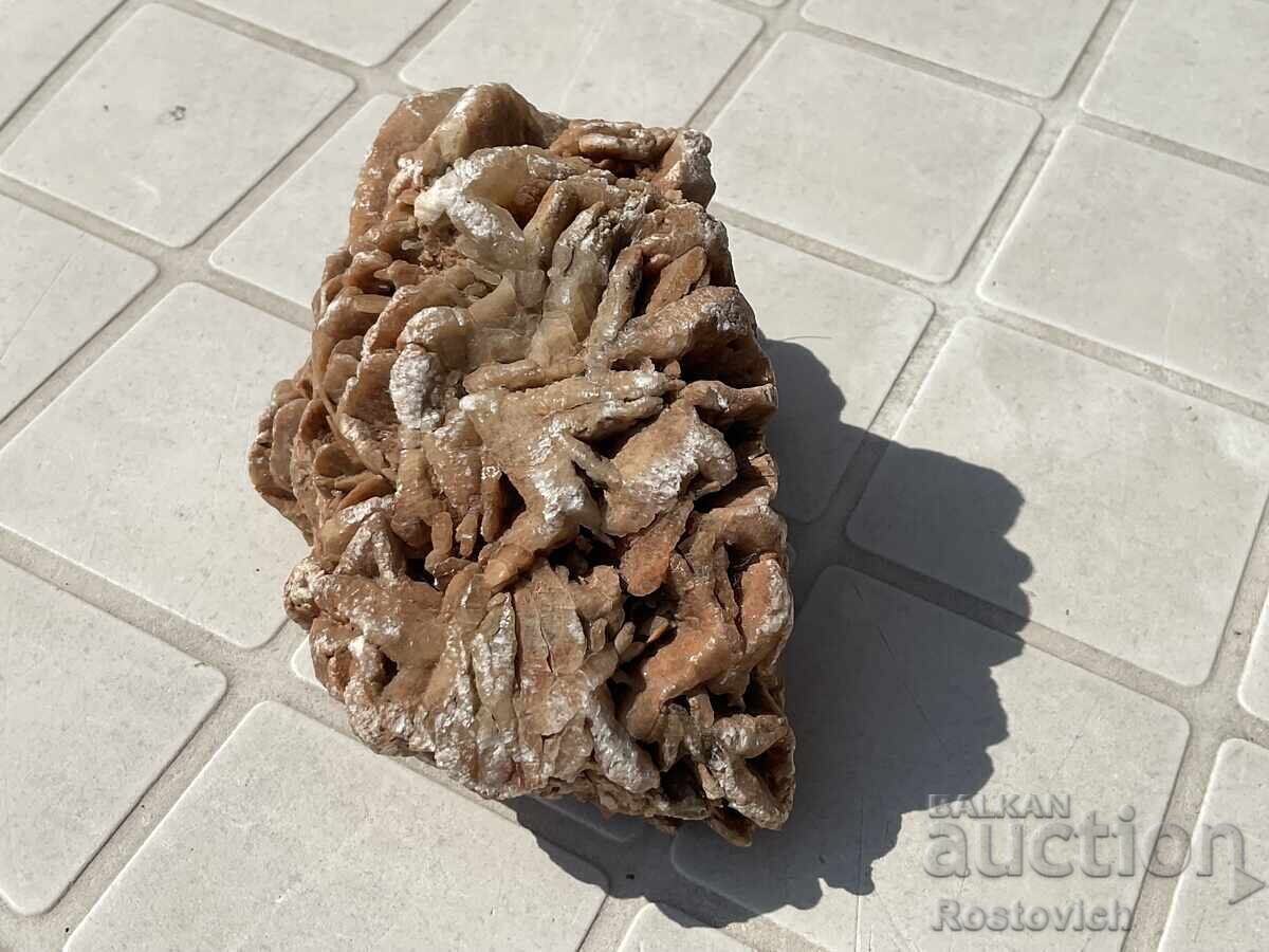 Desert Rose 13 x 9,5 x 8 sm με τιμή € 11.99 | 23.45 BGN Desert Rose 13 x 9,5 x 8 sm με τιμή € 11.99 | 23.45 BGN