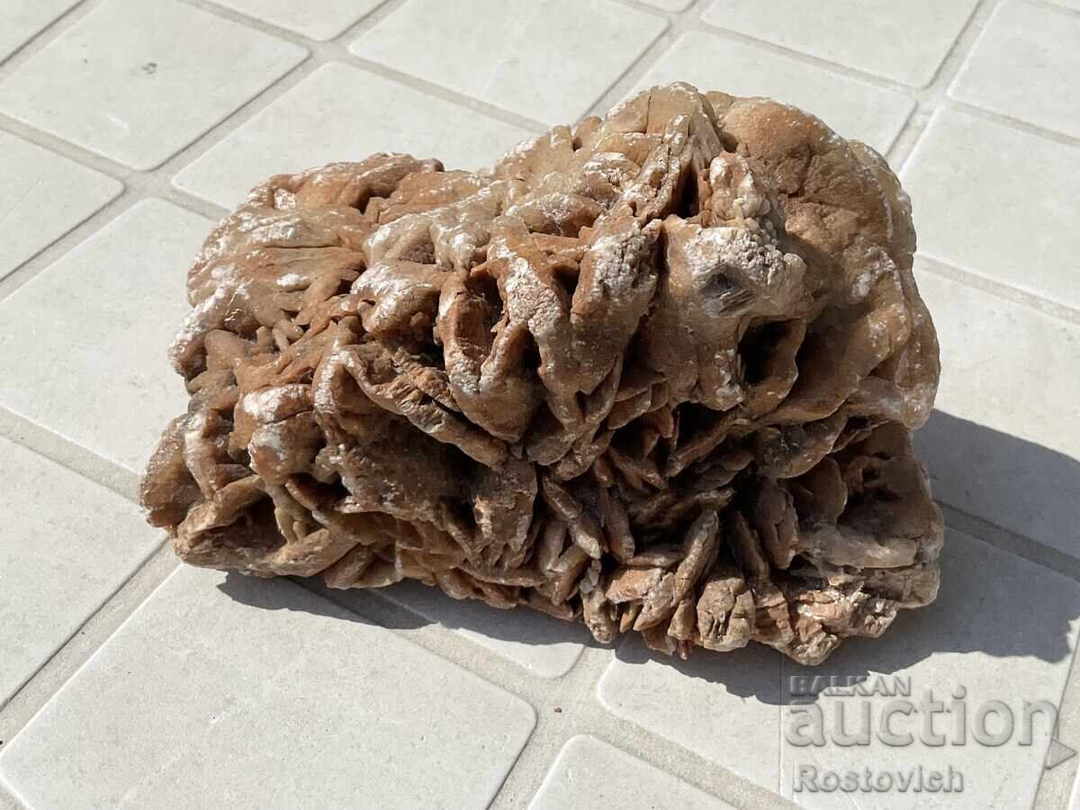 Δημοπρασία Desert Rose 13 x 9,5 x 8 sm Δημοπρασία Desert Rose 13 x 9,5 x 8 sm
