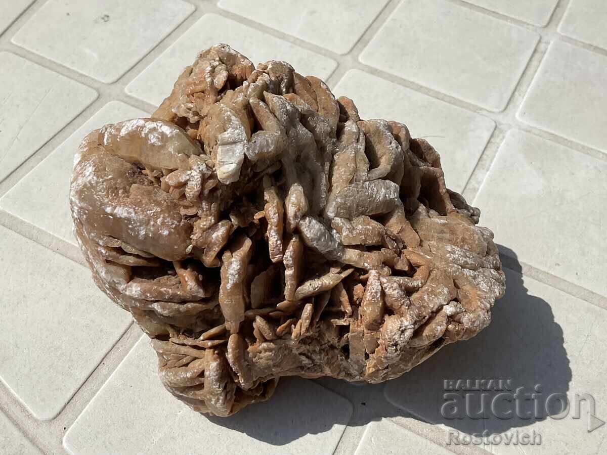 Desert Rose 13 x 9,5 x 8 sm Desert Rose 13 x 9,5 x 8 sm