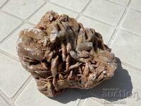 Desert Rose 13 x 9,5 x 8 sm