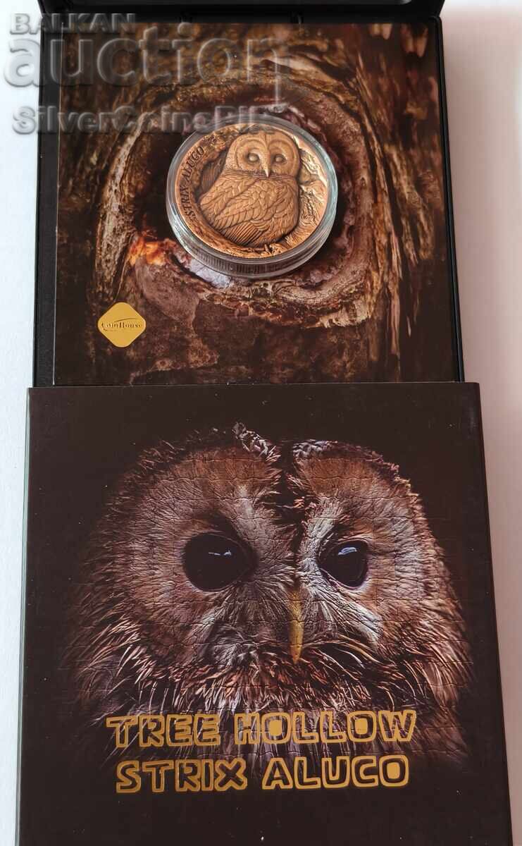 Auction Honey 25 Cents Owl 2023 Samoa Auction Honey 25 Cents Owl 2023 Samoa