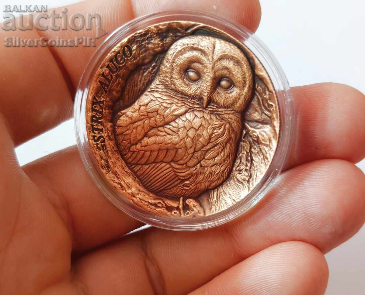 Honey 25 Cents Owl 2023 Samoa - 5 Honey 25 Cents Owl 2023 Samoa - 5