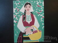 RASPBERRIES, Iv. Vazov, Berkovitsa, 1880, Old postcard