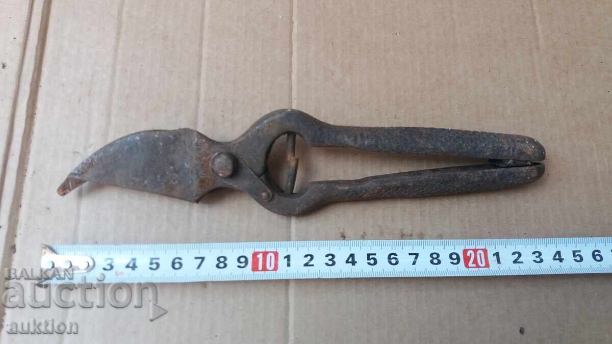 OLD VINE PRUNING SHEARS with price € 1.19 | 2.33 BGN OLD VINE PRUNING SHEARS with price € 1.19 | 2.33 BGN