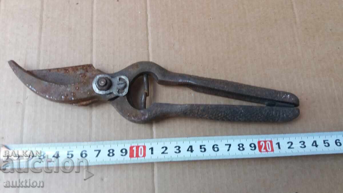 Auction OLD VINE PRUNING SHEARS Auction OLD VINE PRUNING SHEARS
