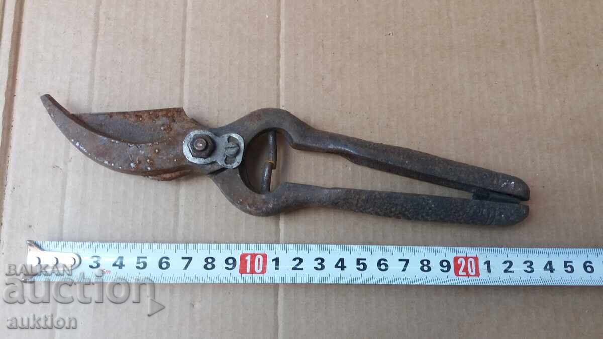 Delivery of OLD VINE PRUNING SHEARS Delivery of OLD VINE PRUNING SHEARS