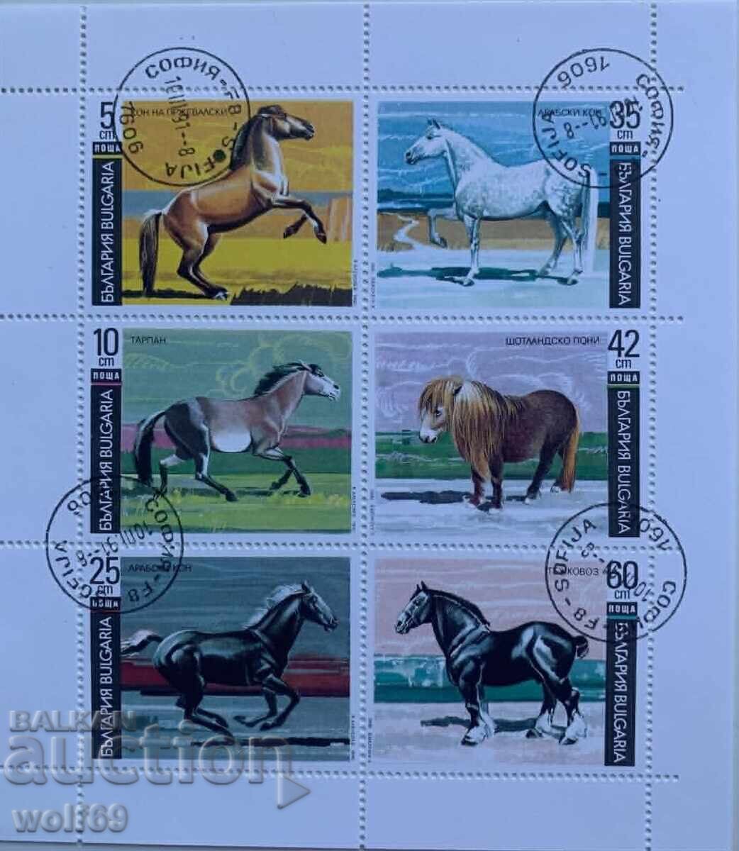1991g-Kone (chastichno nazŭben otdyasno)