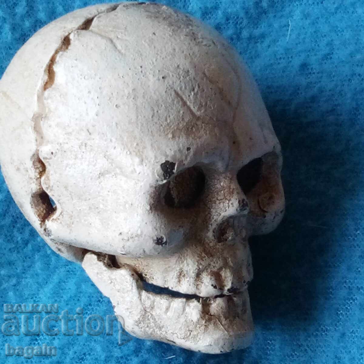 Licitație Craniu din fontă Licitație Craniu din fontă