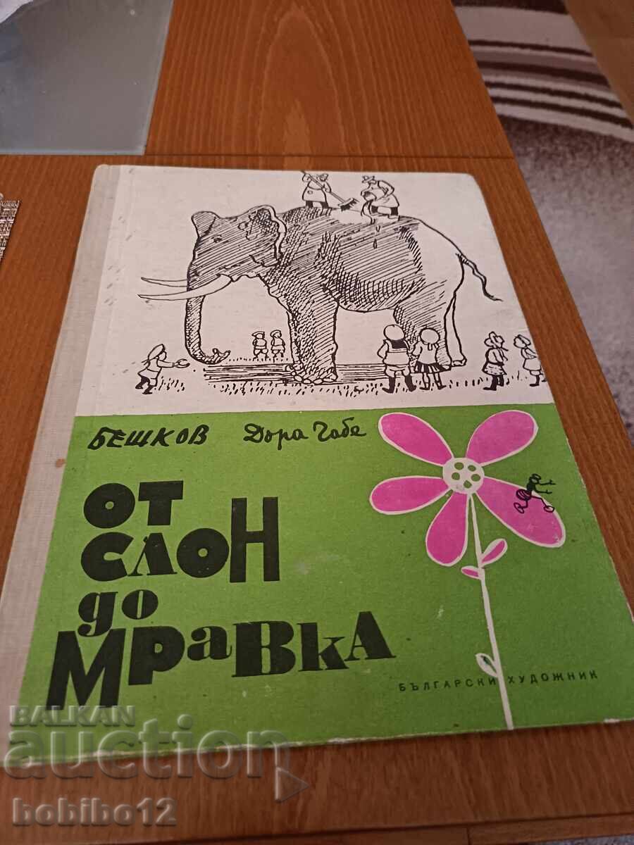 From elephant to ant