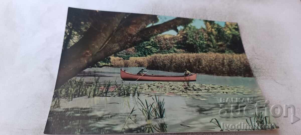 Postcard River Kamchia 1960