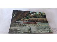 Postcard River Kamchia 1960