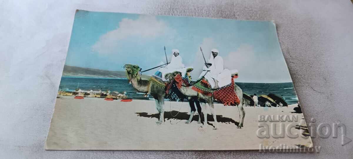 Carte poștală Nessebar Exotica 1961 Carte poștală Nessebar Exotica 1961