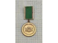 CONSTRUCTION TROOPS 75 YEARS MEDAL