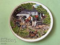 English porcelain plate