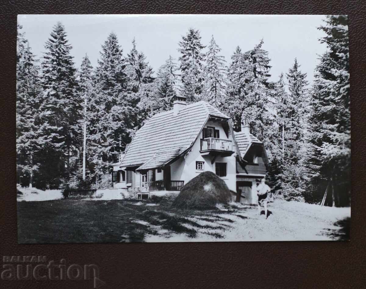 Vedere din Borovets