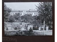 Recenzie - Grădina