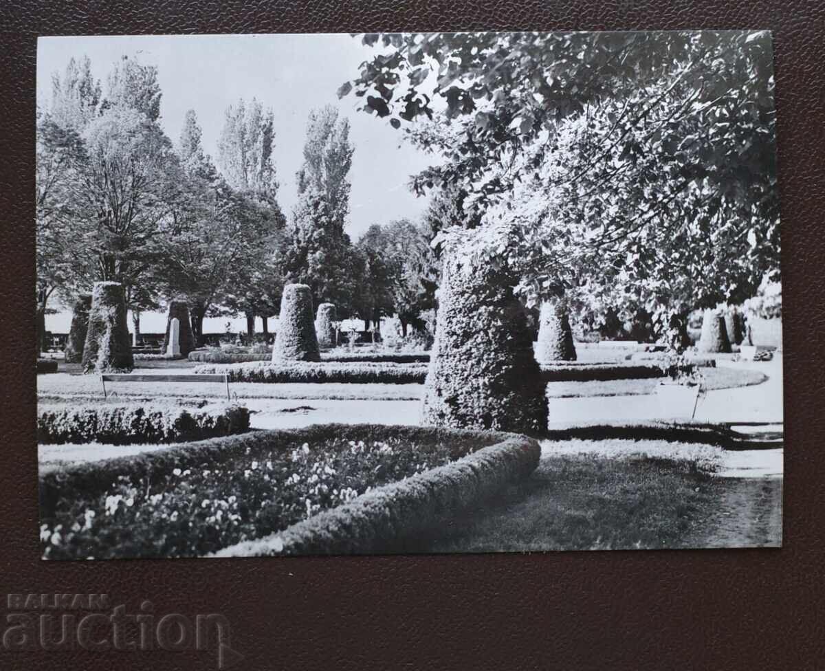 Βιδίνιο - Πόλη. Κήπος