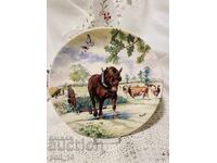 Porcelain wall plate