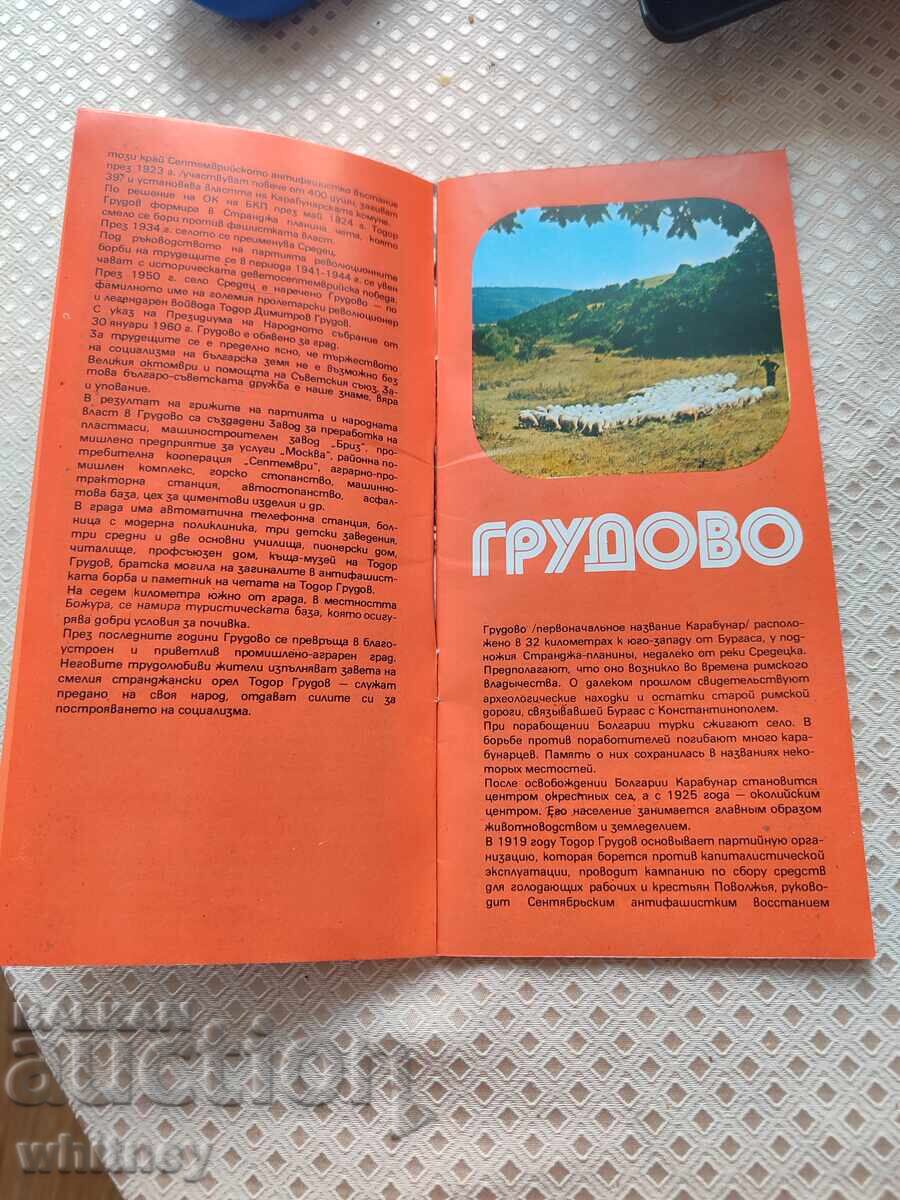 Licitație Pliant Grudovo