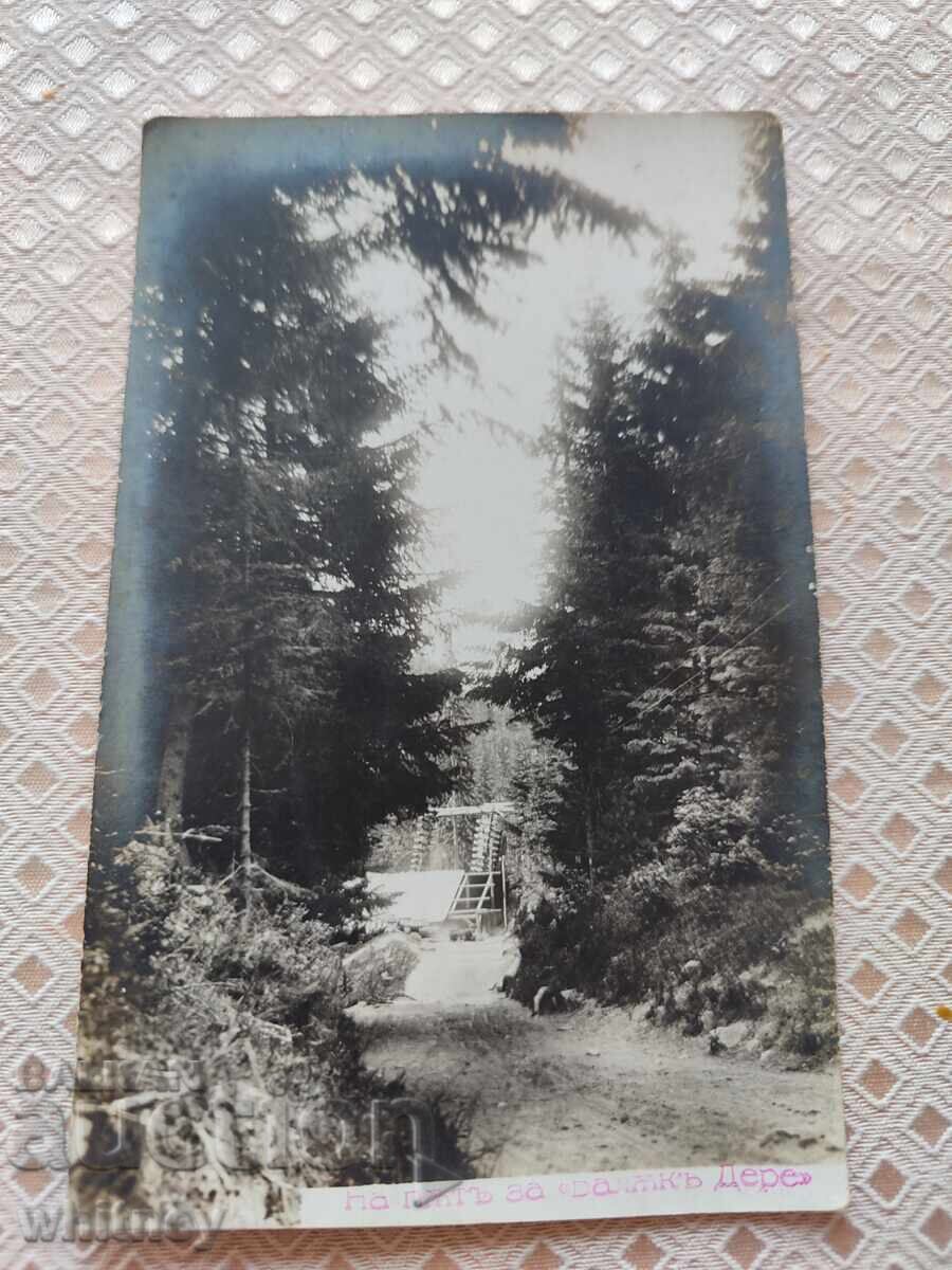 Valea Peștelui