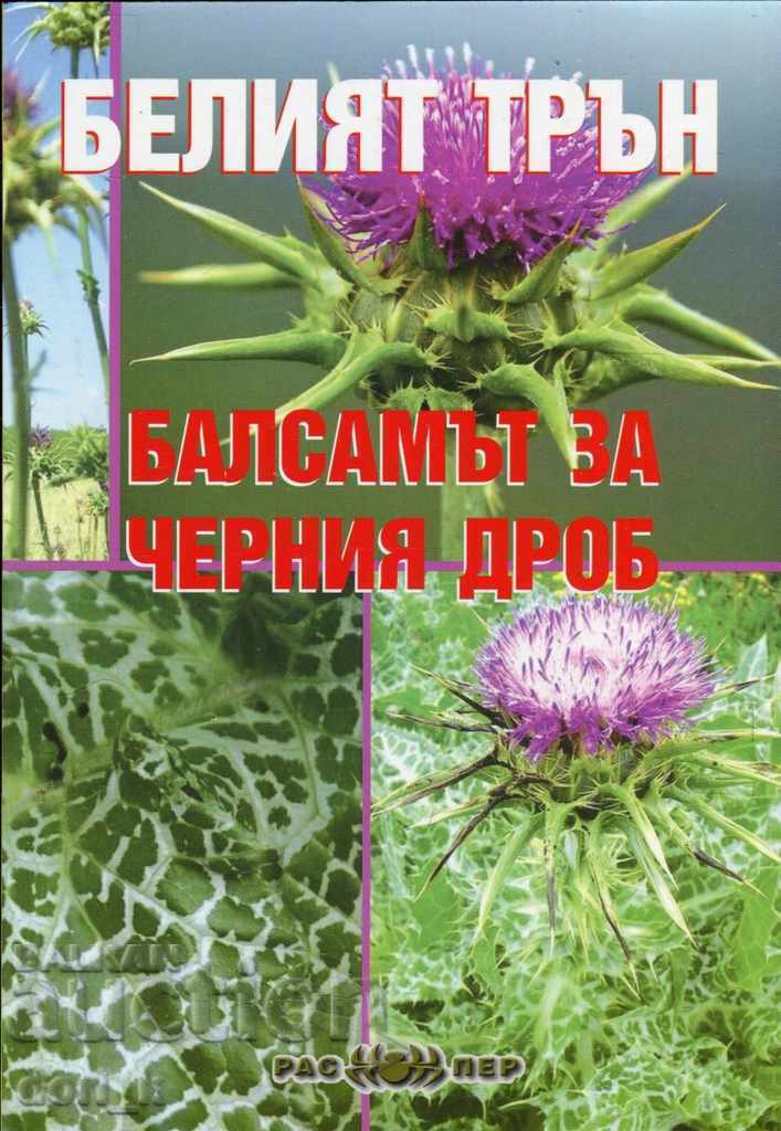 Γαϊδουράγκαθο - το βάλσαμο για το συκώτι