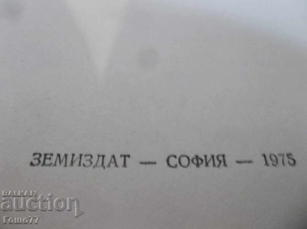 Director cu preț € 2.00 | 3.91 BGN