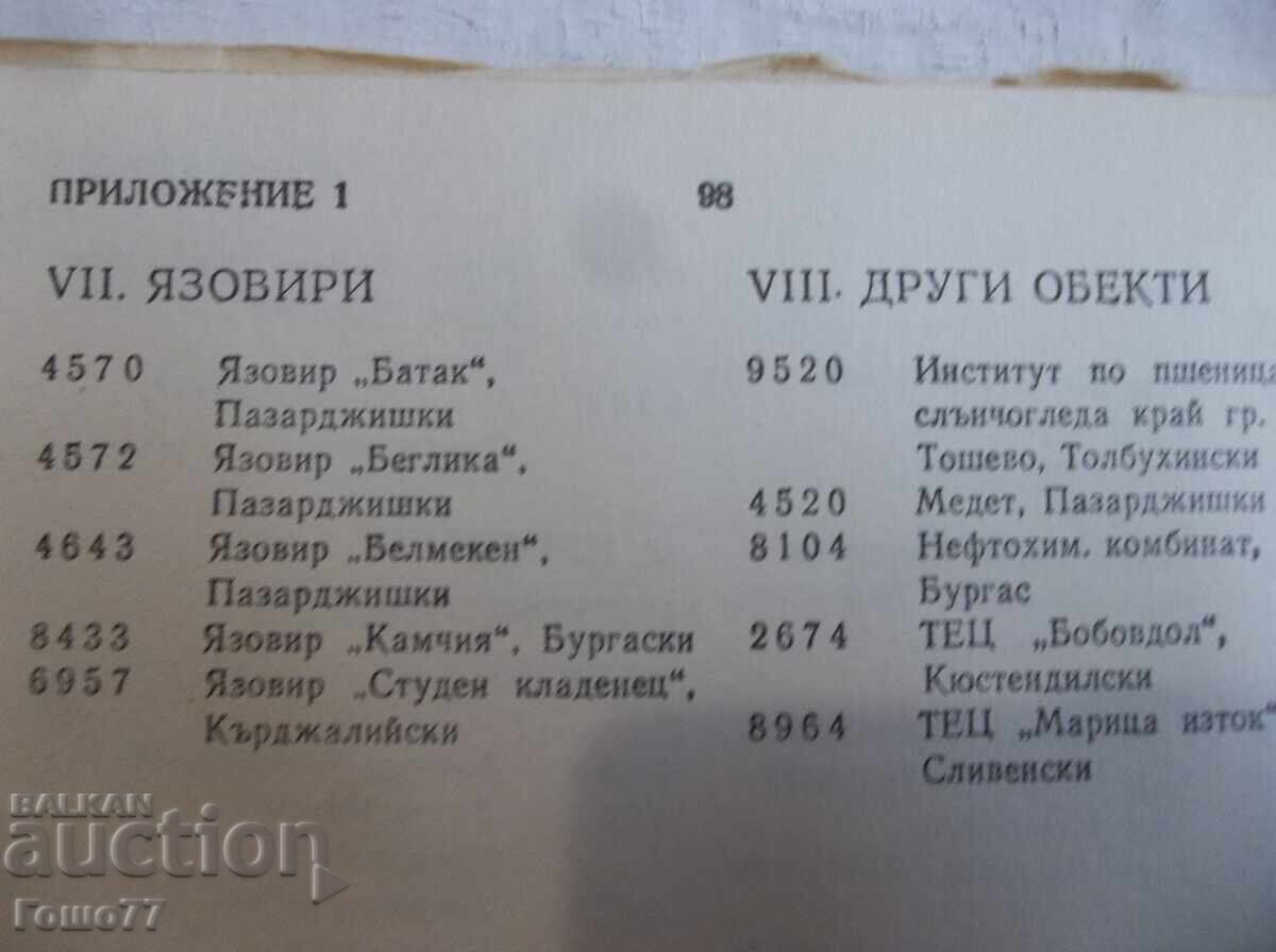 Director - 5