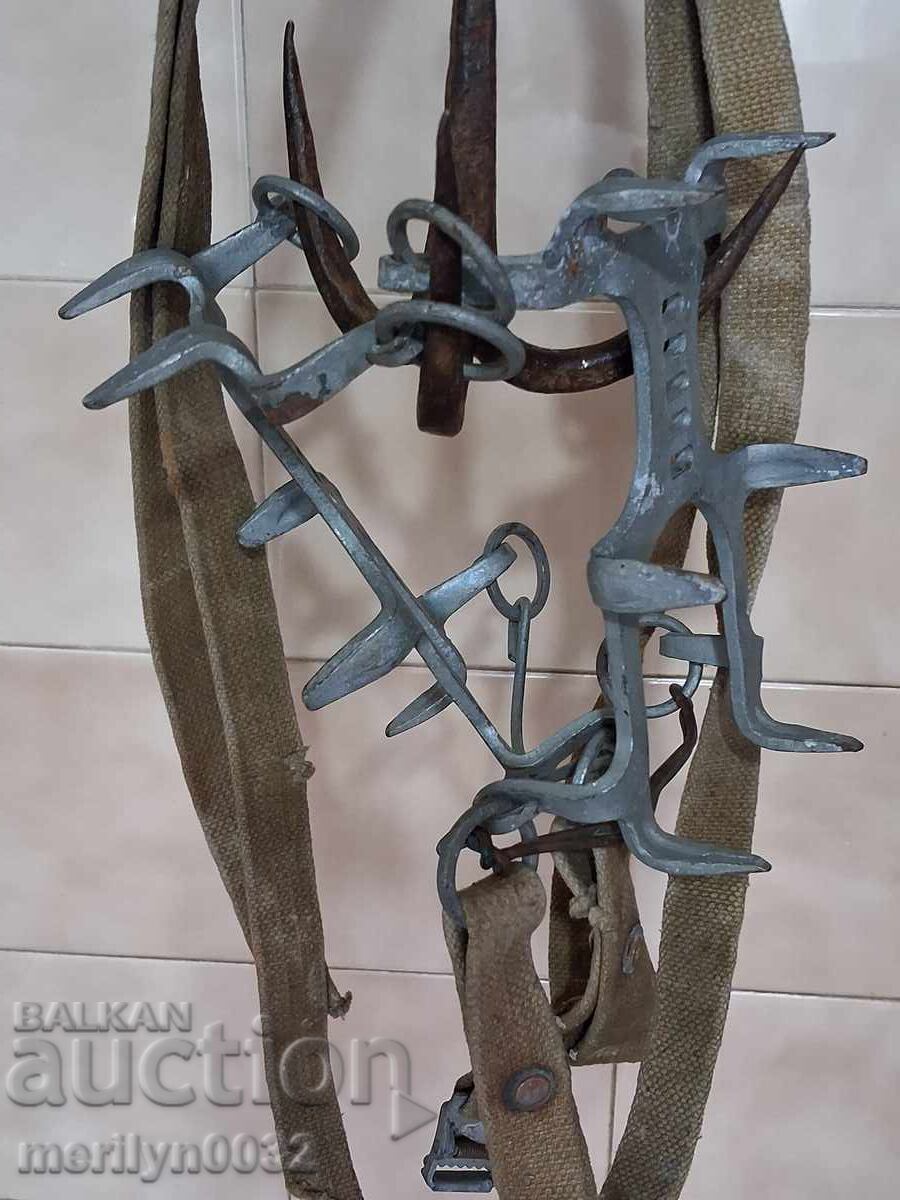 Licitație Pisici militare BNA RPB