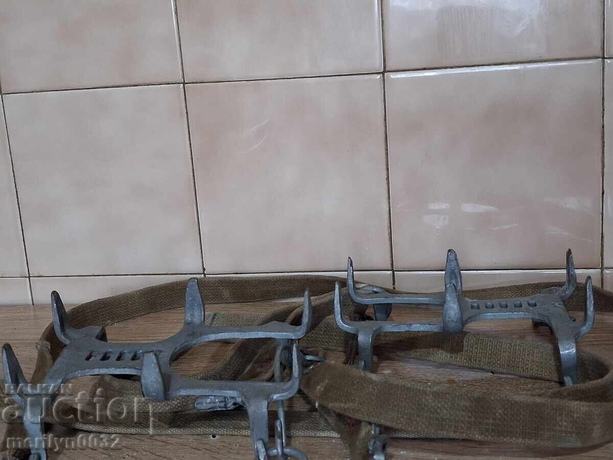 Livrarea Pisici militare BNA RPB