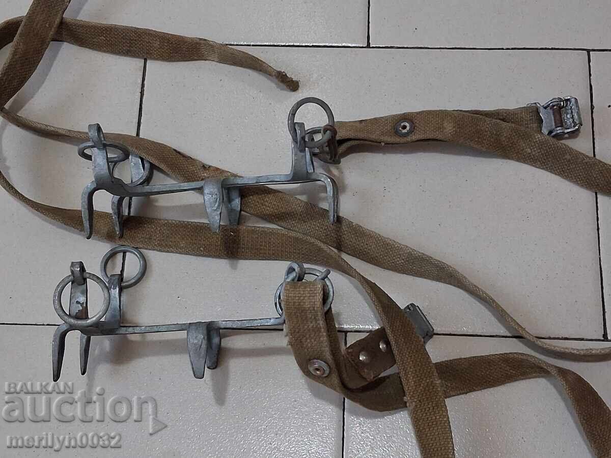 Pisici militare BNA RPB - 6