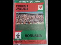 Program de fotbal - Steaua Roșie - Borussia - Finala UEFA