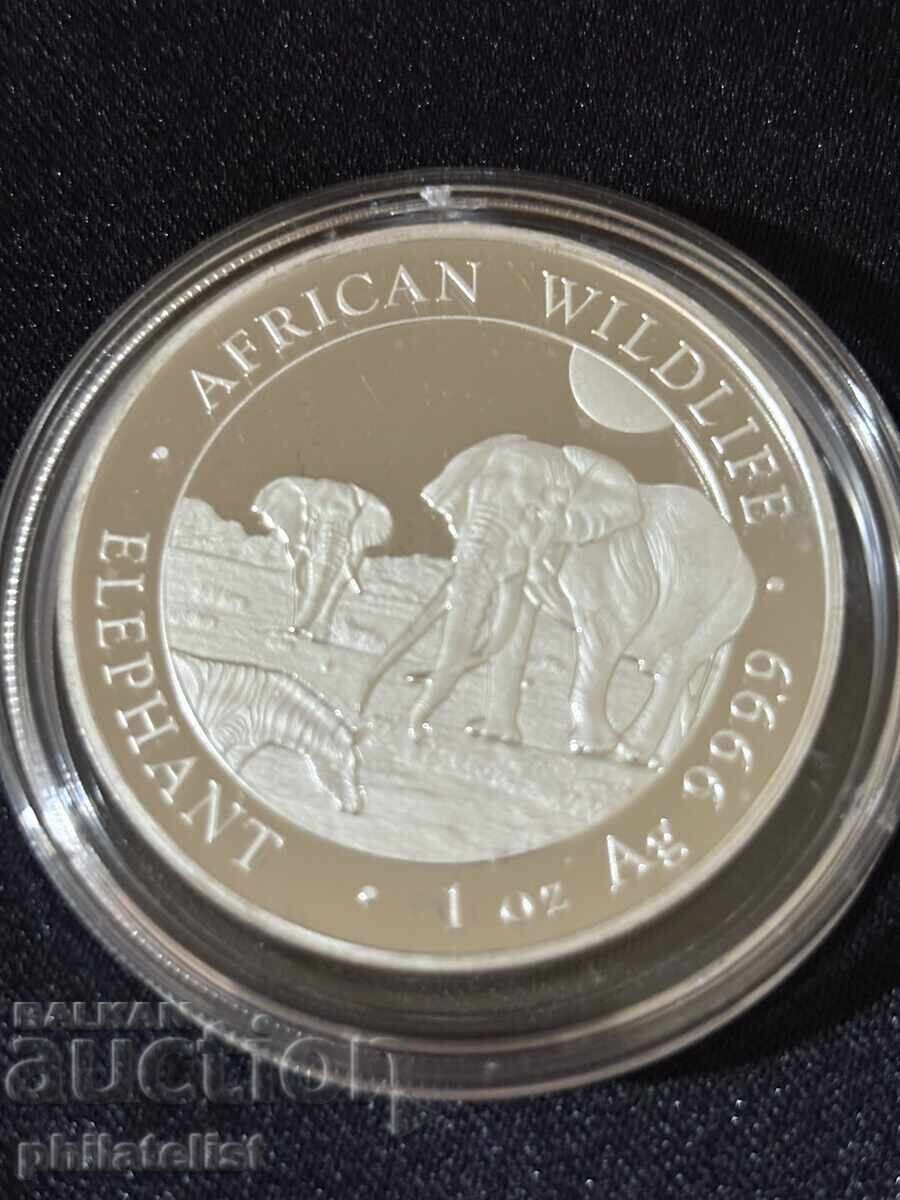 Somalia 2026 - 100 Șilingi - Elefant 1 OZ - Monedă de argint cu preț € 111.00 | 217.10 BGN Somalia 2026 - 100 Șilingi - Elefant 1 OZ - Monedă de argint cu preț € 111.00 | 217.10 BGN