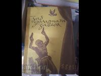 În spatele cortinei de dolari Colectiv