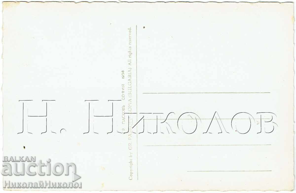 1936 OLD POSTCARD VIDIN THE CITY GARDEN ZH817 with price € 25.00 | 48.90 BGN