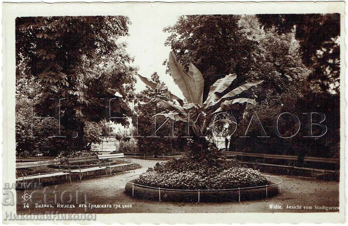 1936 OLD POSTCARD VIDIN THE CITY GARDEN ZH817