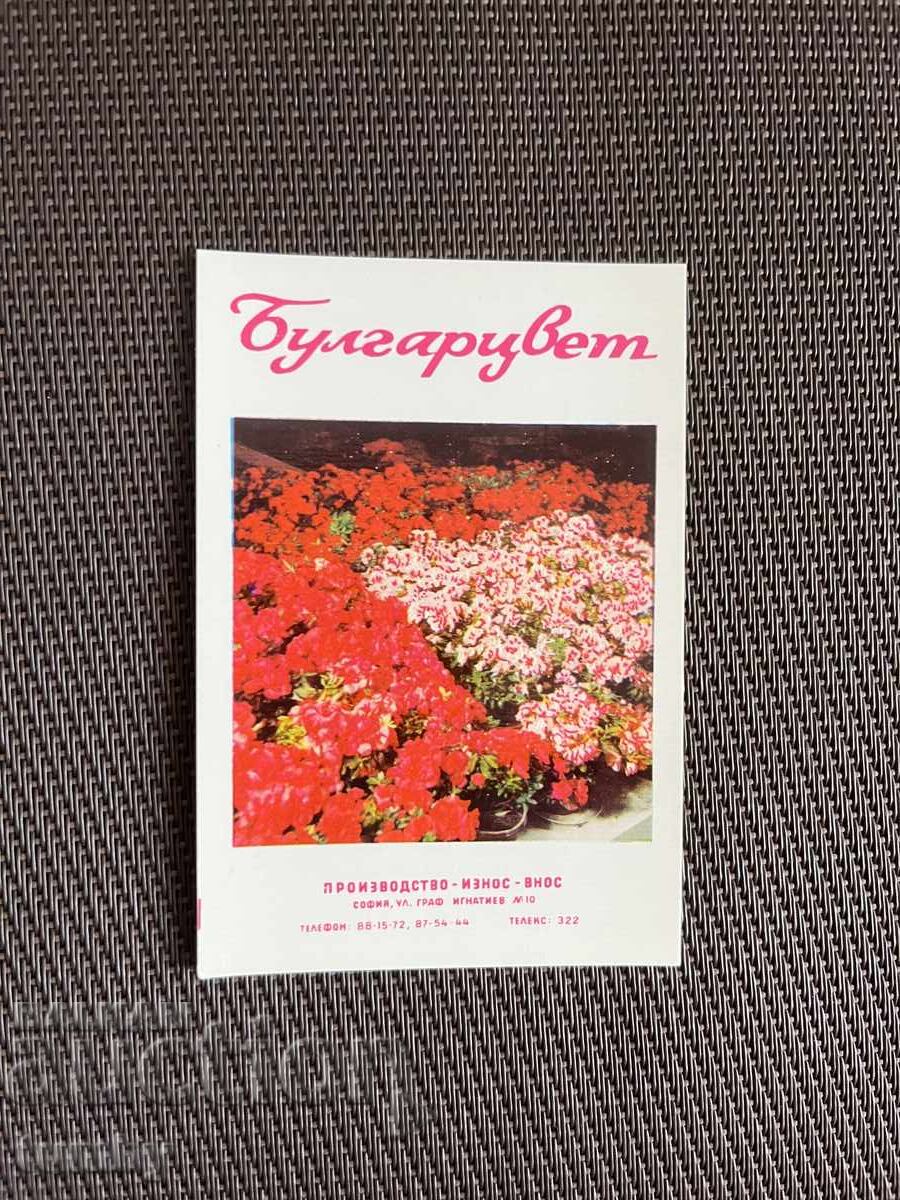 Calendar 1970 Calendar 1970