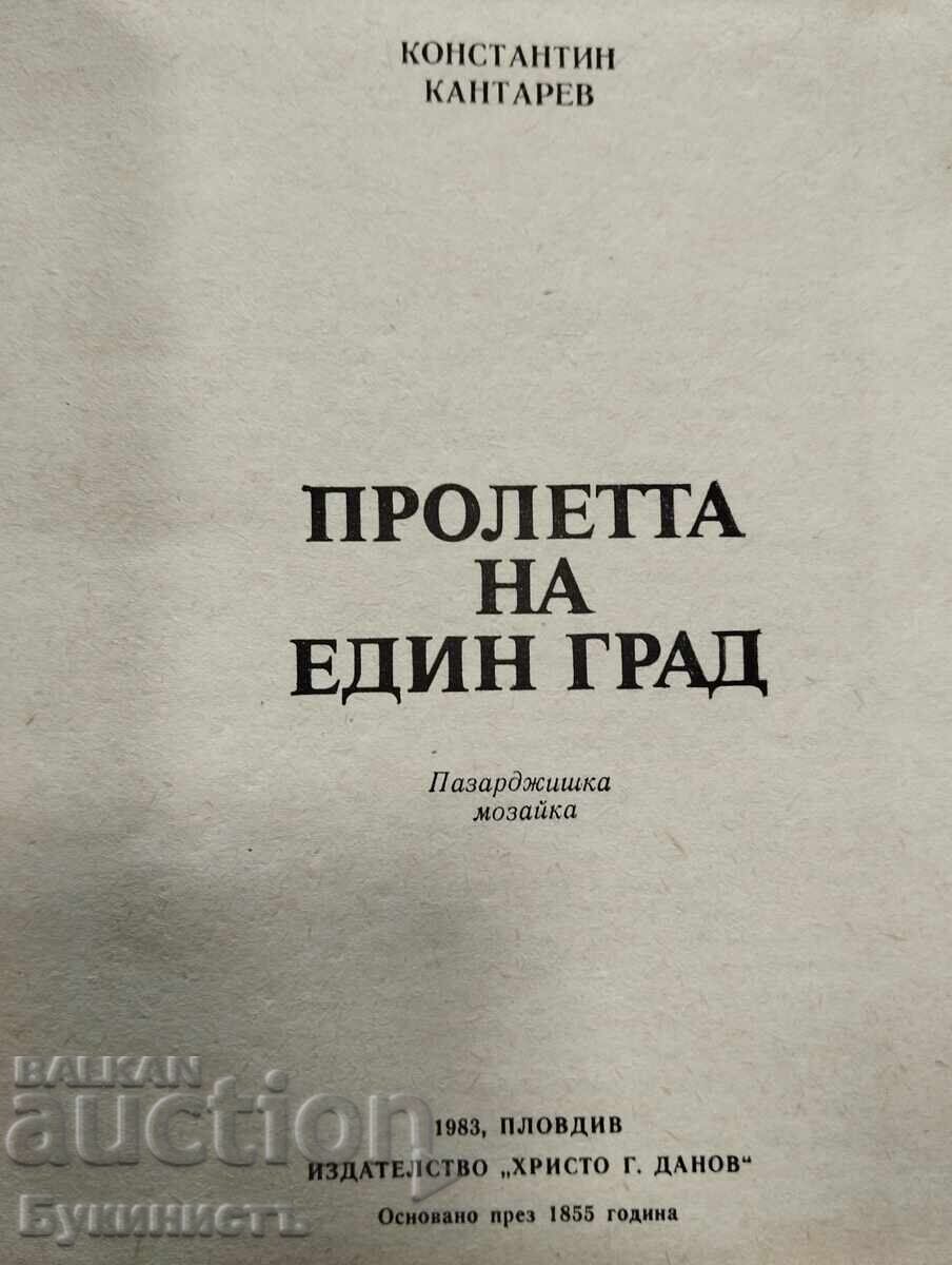 Δημοπρασία Η ΑΝΟΙΞΗ ΜΙΑΣ ΠΟΛΗΣ