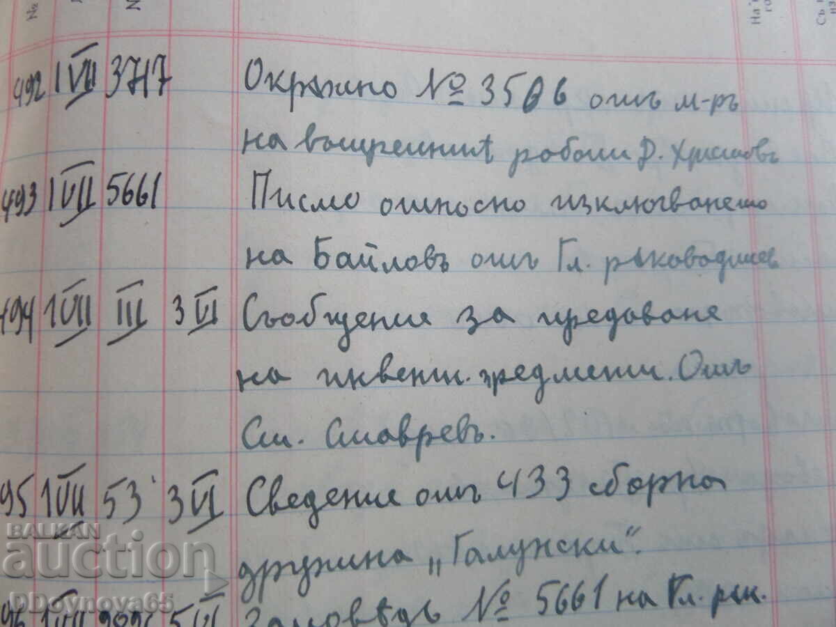 49th Brannik Druzhina "Chepinets", town of Ladzhene - 6