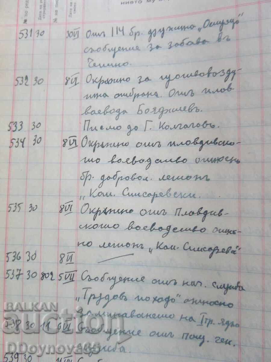 49th Brannik Druzhina "Chepinets", town of Ladzhene - 7