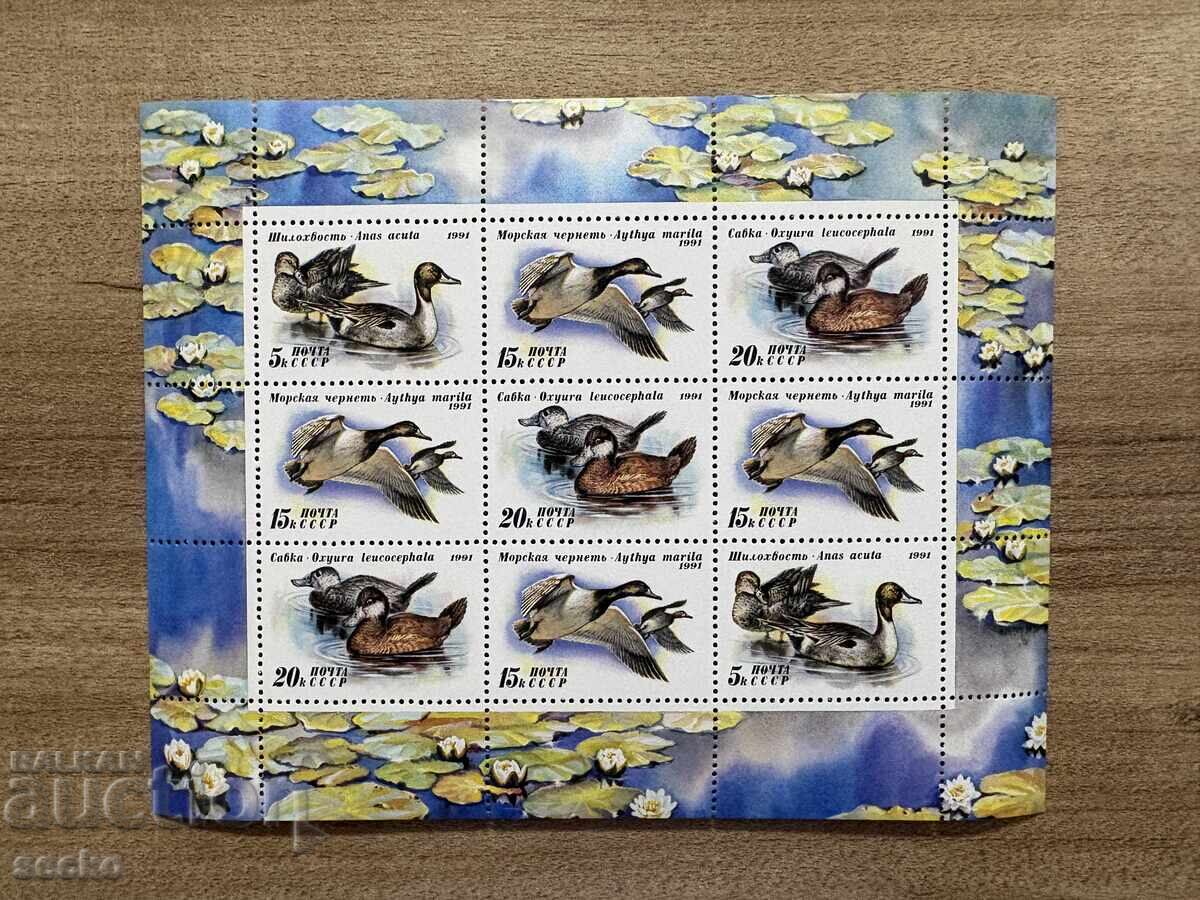 URSS - Rațe (1991) MNH