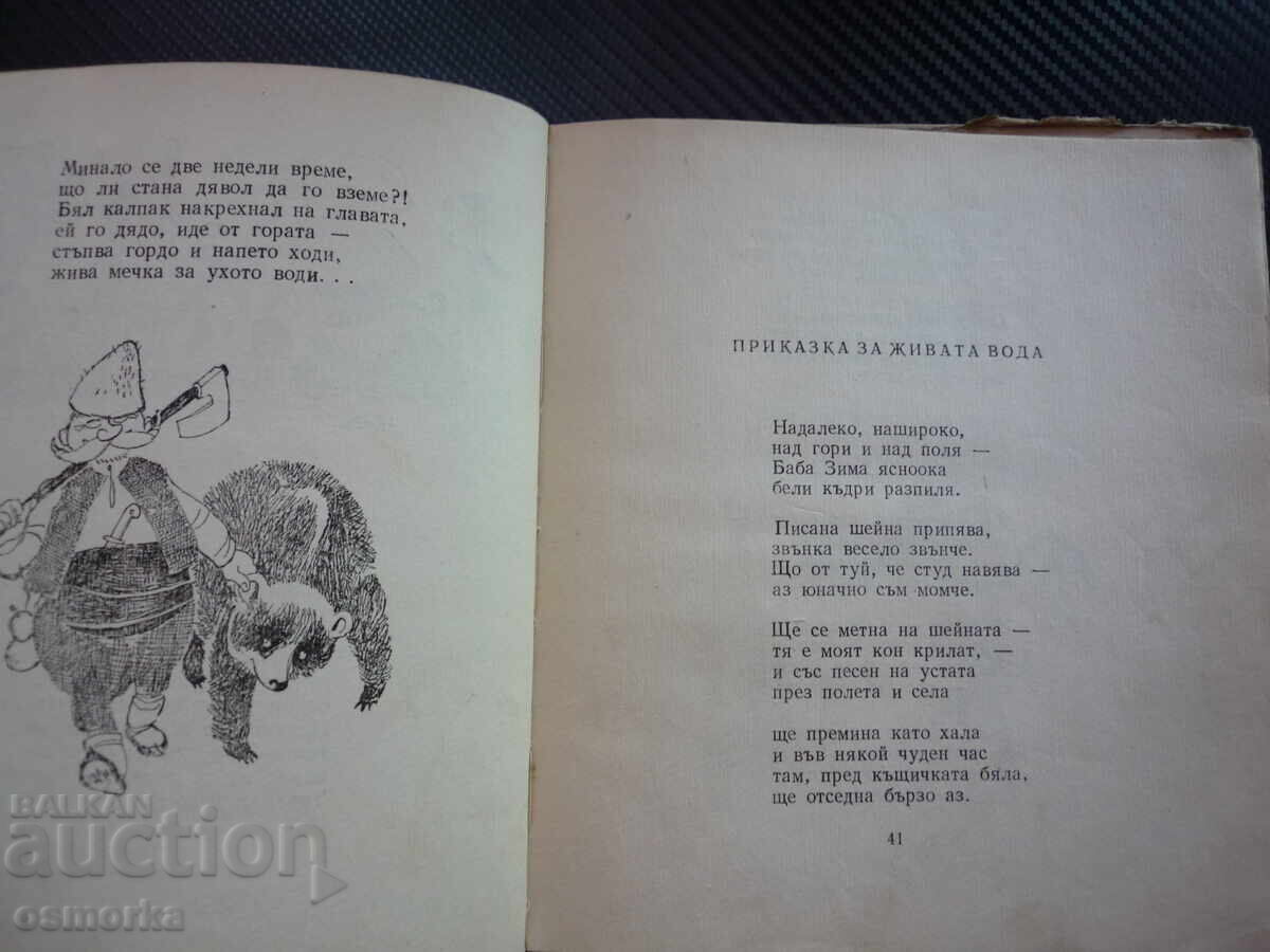 Licitație Oaspete veselă Poezii, ghicitori și poezioare pentru copii Ivan